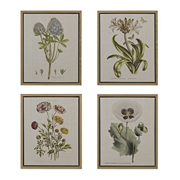 Martha Stewart Herbal Botany Wall Art for Home