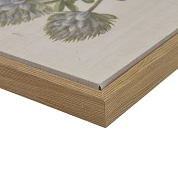 Martha Stewart Herbal Botany Wall Art for Home