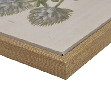 Martha Stewart Herbal Botany Wall Art for Home