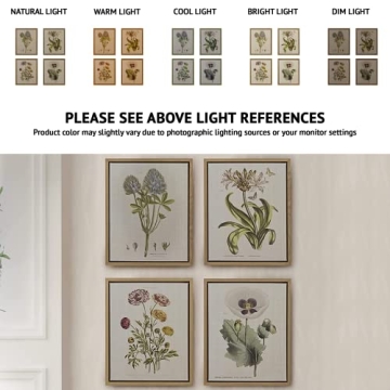 Martha Stewart Herbal Botany Wall Art for Home