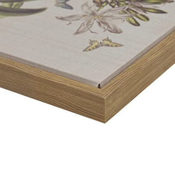 Martha Stewart Herbal Botany Wall Art for Home