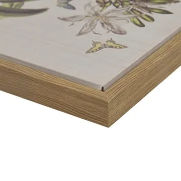 Martha Stewart Herbal Botany Wall Art for Home