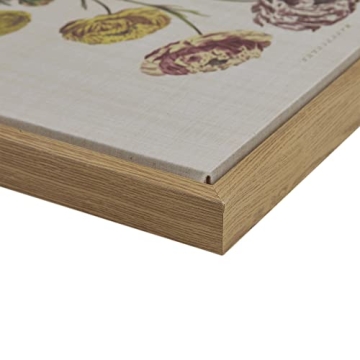 Martha Stewart Herbal Botany Wall Art for Home