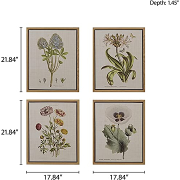 Martha Stewart Herbal Botany Wall Art for Home