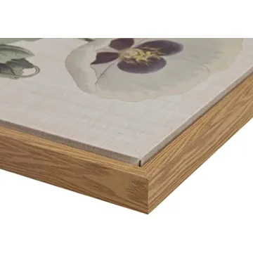 Martha Stewart Herbal Botany Wall Art for Home