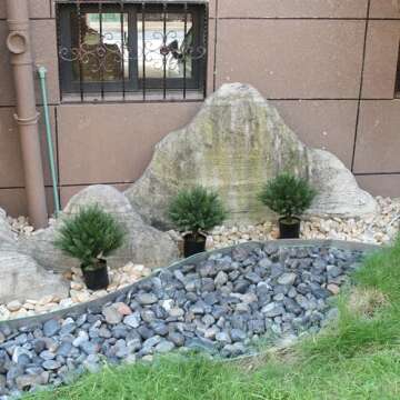 Kissilk Artificial Cedar Topiary Artificial Cedar Tree Artificial Cedar Shrub UV-Proof Leaves Bushes Potted Plants for Home Office Outdoor and Indoor Decor- 16 Inch (16)