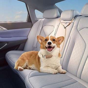 Mile High Life Hands Free Dog Leash - Adjustable & Stylish