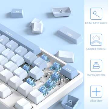 MAGIC-REFINER Jelly Blue Switches for Mechanical Keyboards