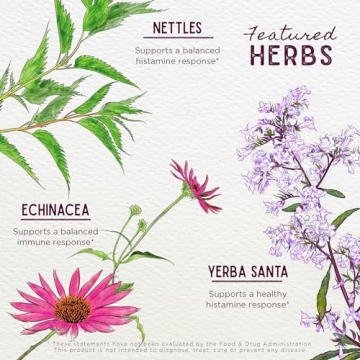 Kick-It Allergy Natural Relief for Kids | Plant-Based