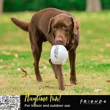 Friends the TV Show Central Perk Coffee Mug Plush Dog Toy with Rope Handle| Soft Cute Squeaky Toy for All Dogs | Stuffed Dog Toys with Squeaker Noise for Added Fun, Friends Memorabilia