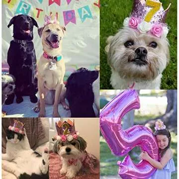 POSAPET Dog Birthday Hat Adjustable Reusable Crown