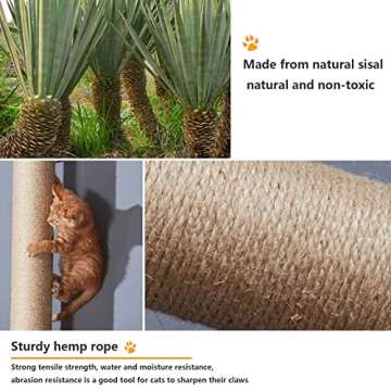 Cat Wall Shelves, Cat Wall Furniture, Cat Shelves and Perches for Wall, Cat Wall Steps Set with 4 Cat Condos House, 9 Cat perches, 2 Bridge Ladder, 3 Sisal Cat Scratching Post