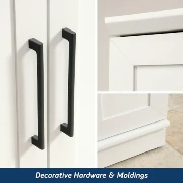 Elegant Sauder HomePlus Cabinet for Home Organization