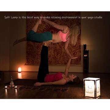 IndusClassic LN-04 Natural Himalayan Pink Crystal Rock Salt Lamp 6~9 lbs with Dimmer Control Switch, Quality Gift Packaging