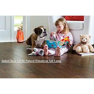 IndusClassic LN-04 Natural Himalayan Pink Crystal Rock Salt Lamp 6~9 lbs with Dimmer Control Switch, Quality Gift Packaging