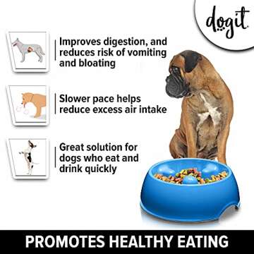 Dogit Dog Bowl Slow Feeder for Wet or Dry Dog Food, Go Slow Anti-Gulping Dog Dish, Blue, Large