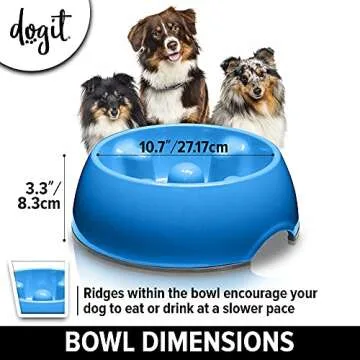 Dogit Slow Feeder for Dogs, Anti-Gulping Bowl in Blue