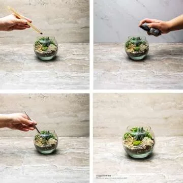 Cute Farms Terrarium Starter Kit for DIY Succulents