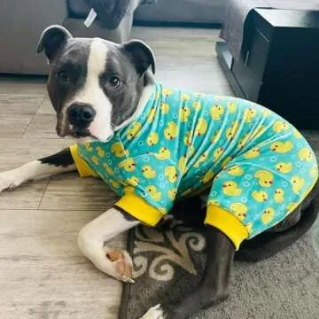 KYEESE Dog Pajamas Yellow Ducks Dog Clothes Dog Body Suits After Surgery Dog Surgery Recovery Suit Soft Dog Coat Dog Onesie Dog Costume Cat Clothes Dog Pajamas Medium Sized Dog