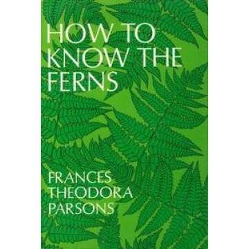 How to Know the Ferns: A Comprehensive Guide to Identifying Fern Species