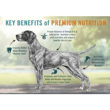 Chicken Soup For The Soul Classic Dry Adult Dog Food, Beef & Brown Rice Recipe, 28 Pound Bag | Soy Free, Corn Free, Wheat Free, Dry Dog Food Made with Real Ingredients