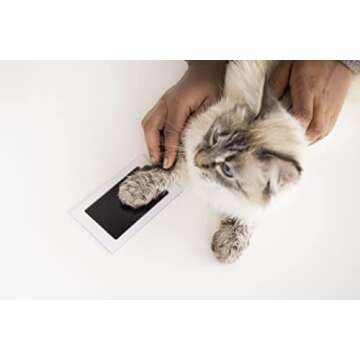 Pearhead Paw Print Clean-Touch Ink Pad, Mess Free Inkless Pet Impression Kit, Safe for Cats and Dogs, Pawprint Keepsake, Pack of 2