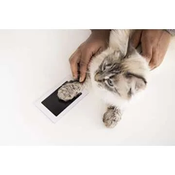 Pearhead Paw Print Clean-Touch Ink Pad, Mess Free Inkless Pet Impression Kit, Safe for Cats and Dogs, Pawprint Keepsake, Pack of 2