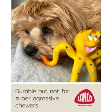 Natural Rubber Dog Toy | Safe & Soft Squeaky Octopus for Puppies