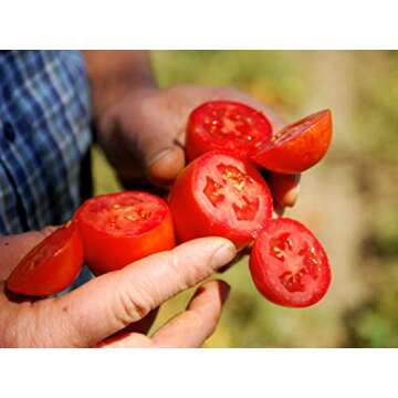 Bianco DiNapoli Organic Crushed Tomatoes 28 oz - Perfect for Cooking!