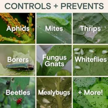 Organic Insecticide Liquid Concentrate for Pest Control