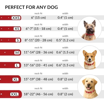 Rolled Leather Dog Collar - Soft Genuine Leather in Red