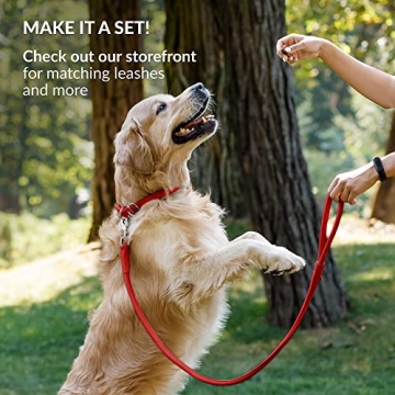 Rolled Leather Dog Collar - Soft Genuine Leather in Red