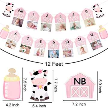 Cow 1st Birthday Party Photo Banner for Newborn to 12 months for Baby Girls Pink Cow Farm Theme First Birthday Party Supplies Baby Shower Decoration