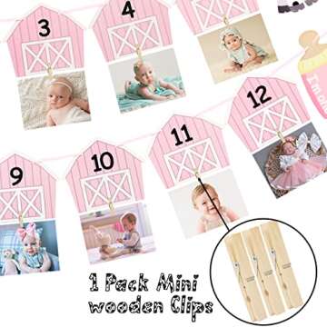 Cow 1st Birthday Party Photo Banner for Newborn to 12 months for Baby Girls Pink Cow Farm Theme First Birthday Party Supplies Baby Shower Decoration
