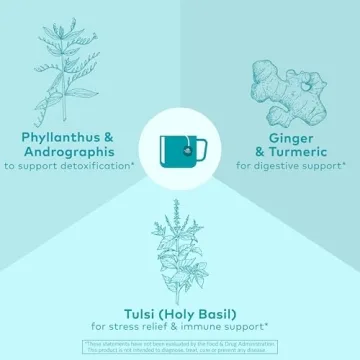 Organic India Tulsi Detox Tea - Stress Relief & Cleansing