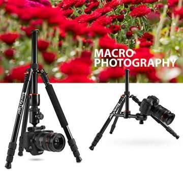 Sturdy Tiger 75” Camera Tripod & Monopod for DSLR, Professional Horizontal Arm Tripod with 360 Degree Metal Ball Head, Compact Aluminum Tripod for Travel and Work, Sturdy and Easy to Use