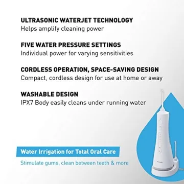 Panasonic Portable Water Flosser for Dental Care