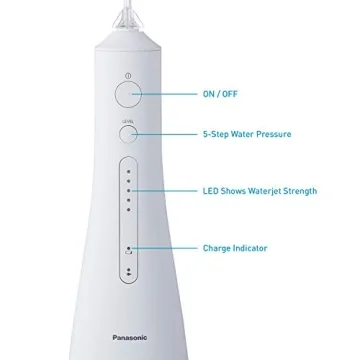 Panasonic Portable Water Flosser for Dental Care