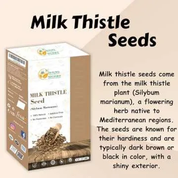 Herbs Botanica Milk Thistle Herb Seeds 100% Natural Cardo Mariano Semillas for Herbal Tea, Tinctures & DIY Use Whole Milk Thistle Seeds for Grinding & Infusions – 8 oz Pack
