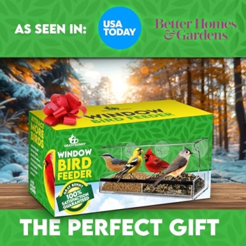 Gray Bunny Window Bird Feeder for Close Outdoor Viewing