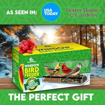 Gray Bunny Window Bird Feeder for Close Outdoor Viewing