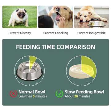 Havniva Ceramic Slow Cat Feeder Bowl for Cat, Slow Cat Food Bowl, Pet Slowe Feeder Bowl, Circle Shape. (Bowl x 2 - Cream, 6inch)