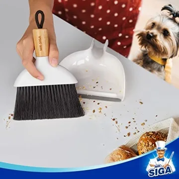 MR.SIGA Mini Dustpan and Brush Set for Effortless Cleaning