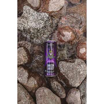 Sambazon Organic Energy Drink with Acai and Passionfruit