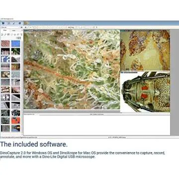 Dino-Lite USB Digital Microscope AM3111-0.3MP, 10x - 50x, 230x Optical Magnification, 8 LEDs
