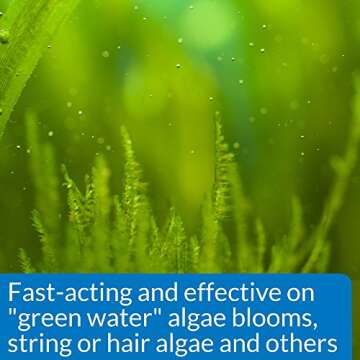 API Marine ALGAEFIX Algae Control