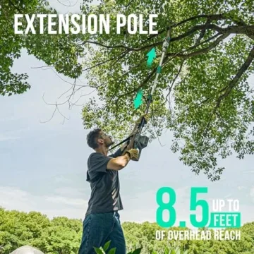 Litheli Cordless Pole Saw - 40V Powerful Tree Trimmer