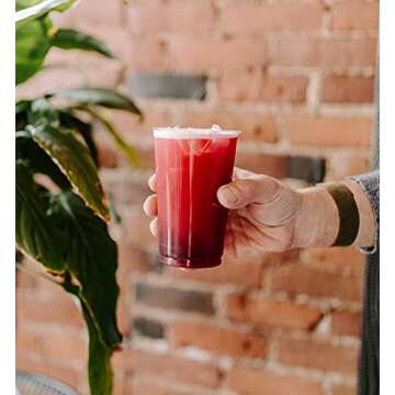 Quivr Nitro Cold Brew Hibiscus Tea | Caffeine Free, Vegan, Keto Friendly