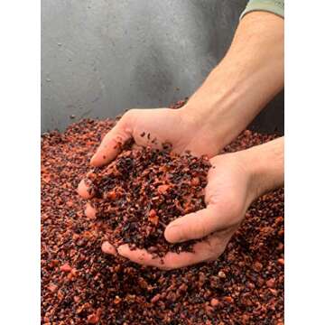 Quivr Nitro Cold Brew Hibiscus Tea | Caffeine Free, 12 Pack