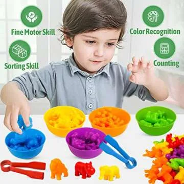 RAEQKS Counting Sorting Toys for Preschool Learning Activities